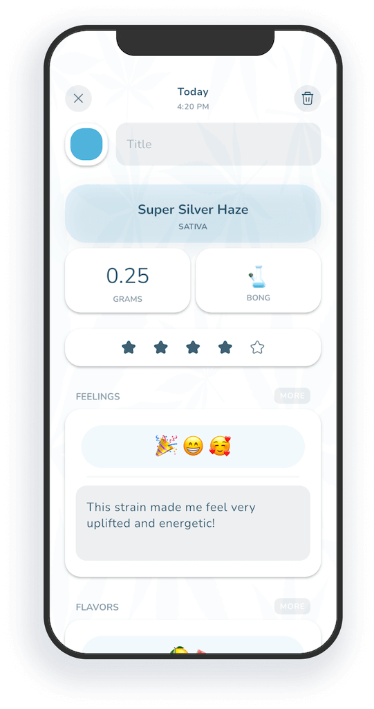 Mock App Preview 2
